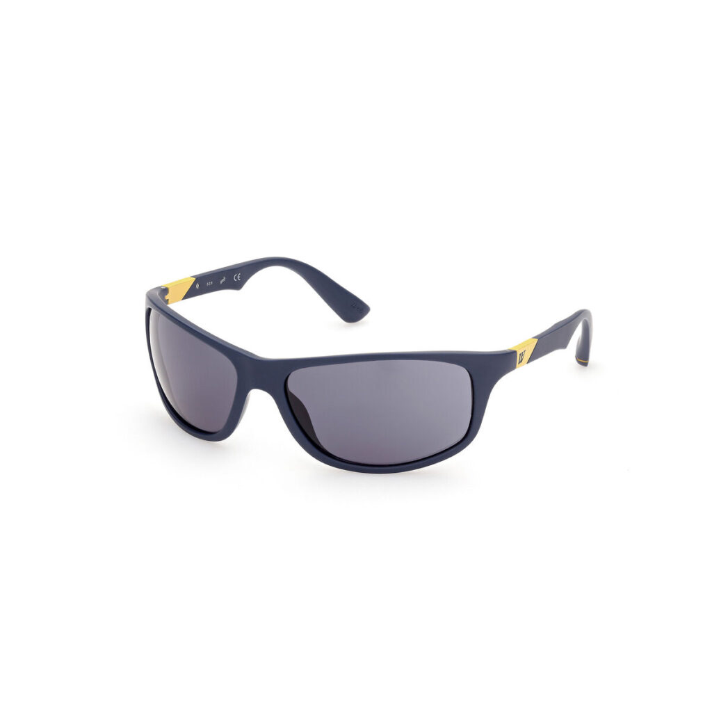 Herrensonnenbrille Web Eyewear WE0294-6492V